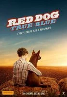 TV program: Rudý pes: Blue (Red Dog: True Blue)