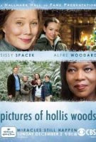 TV program: Obrázky Hollis Woodsové (Pictures of Hollis Woods)