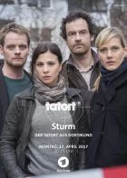 TV program: Tatort: Sturm