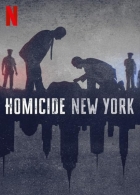 Vraždy New York (Homicide: New York)