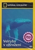 TV program: Velryby v ohrožení (Whales in Crisis)