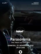 TV program: Místo činu: Drážďany - Parasomnie (Tatort: Parasomnia)