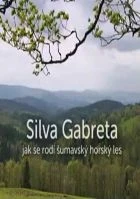 TV program: Silva Gabreta – Jak se rodí šumavský horský les