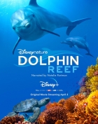 Útes delfínů (Dolphin Reef)