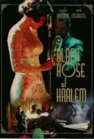 TV program: Black Rose of Harlem