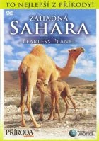 Záhadná Sahara (Fearless Planet: Sahara Desert)