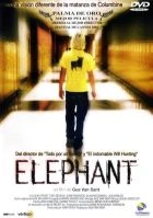 TV program: Slon (Elephant)