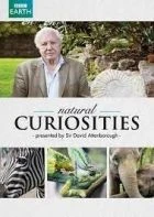 TV program: Přírodní kuriozity Davida Attenborougha (David Attenborough's Natural Curiosities)