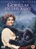 TV program: Gorily v mlze (Gorillas in the Mist)