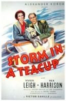 Storm in a Teacup