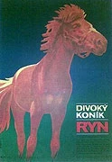 TV program: Divoký koník Ryn