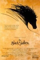 TV program: Černý hřebec (The Black Stallion)