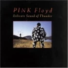 TV program: Pink Floyd - Delicate Sound Of Thunder (Pink Floyd Delicate Sound Of Thunder)