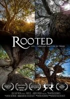 TV program: Příběh pěti stromů (Rooted)