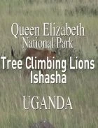TV program: Lvi na stromech (Tree Climbing Lions)