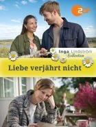 TV program: Inga Lindström: Osudový obraz (Liebe verjährt nicht)