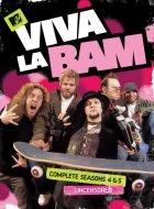 TV program: Viva la Bam