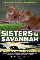 TV program: Sestry ze savany (Sisters of the Savannah)