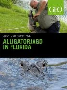 TV program: Pozor na aligátory (Alligatorjagd in Florida)