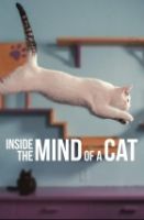 Co se kočce honí hlavou (Inside the Mind of a Cat)