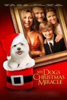 TV program: My Dog's Christmas Miracle