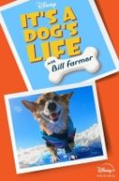 It's a Dog's Life