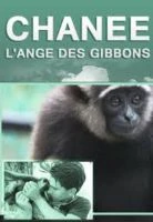 TV program: Ohrožení giboni (Chanee, l'ange des gibbons)