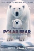 Polární medvěd (Polar Bear)