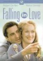 TV program: Zamilovat se (Falling In Love)