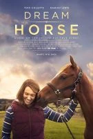 TV program: Jdi za svým koněm (Dream Horse)