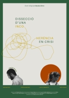 Krizový rozbor jednoho nedorozumění (Dissecció d'una incoherència en crisi)