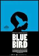 TV program: Modrý pták (Blue Bird)
