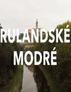 TV program: Rulandské modré