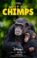 Seznamte se s šimpanzi (Meet the Chimps)