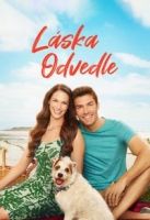 TV program: Láska odvedle (Love at the Shore)