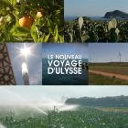 TV program: Ohrožené Středomoří (Le Nouveau voyage d’Ulysse)