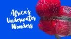 TV program: Podmořské divy Afriky (Africa's Underwater Wonders)