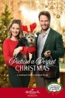 TV program: Picture a Perfect Christmas