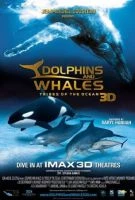 Delfíni a velryby 3D: tuláci oceánů (Dolphins and Whales 3D: Tribes of the Ocean)
