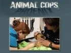 TV program: Veterinární policie: Phoenix (Animal Cops: Phoenix)