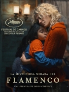 Záhadný pohled plameňáka (La misteriosa mirada del flamenco)