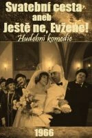TV program: Svatební cesta aneb Ještě ne, Evžene!