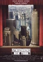TV program: Synecdoche, New York