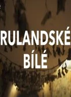 TV program: Rulandské bílé