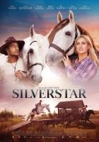 TV program: Stříbrňák (Silverstar)