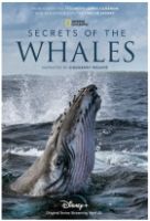 Tajemství kytovců (Secrets of the Whales)