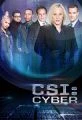 Kriminálka: Oddělení kybernetiky (CSI: Cyber)