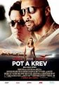 Pot a krev (Pain and Gain)