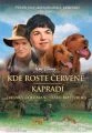 Kde roste červené kapradí (Where the Red Fern Grows)