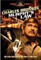 Murphyho zákon (Murphy's Law)